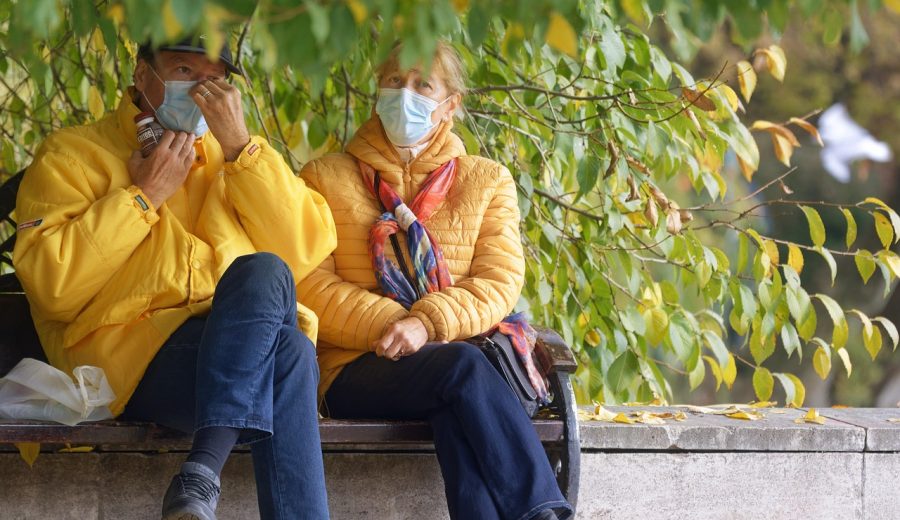 屏幕在线检测 暖色木质桌面上并排摆放的几台显示器同时亮着检测画面，午后阳光斜照在屏幕上泛出柔和反光，旁边放着笔记本与色卡，整体是安静专注的居家工作氛围